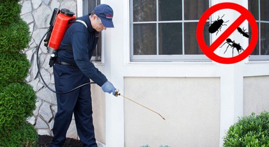 Şalpazarı Bit İlaçlama böcek ilaçlama ve haşere kontrolü — ilaclama-tr.com